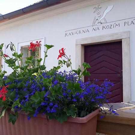 Cafe Kozi Placek Kutná Hora Eksteriør bilde